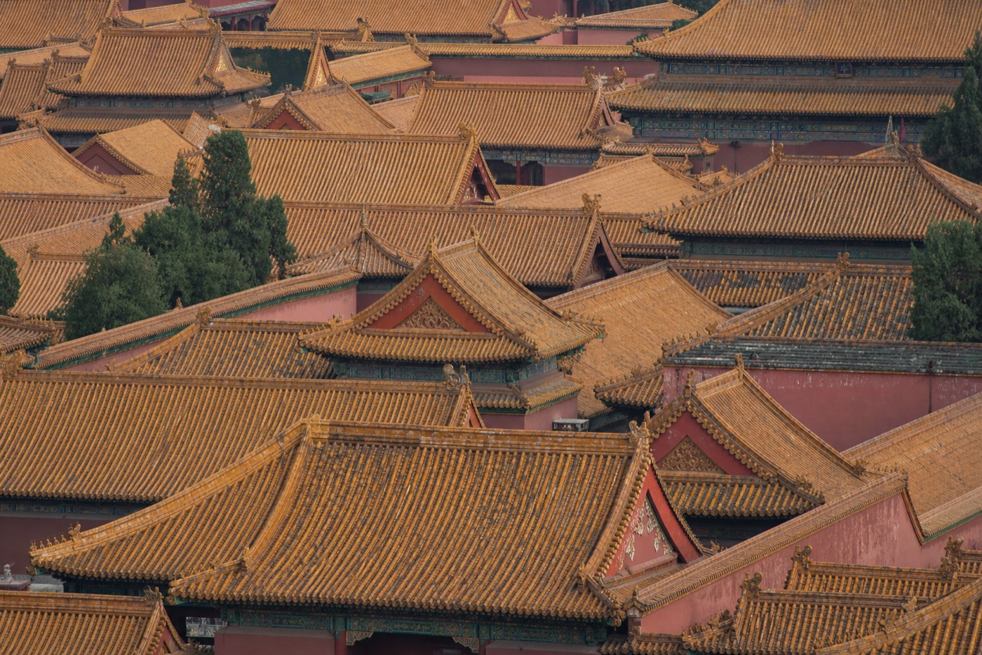 Rows of golden Forbidden City rooftops stretching into the distance